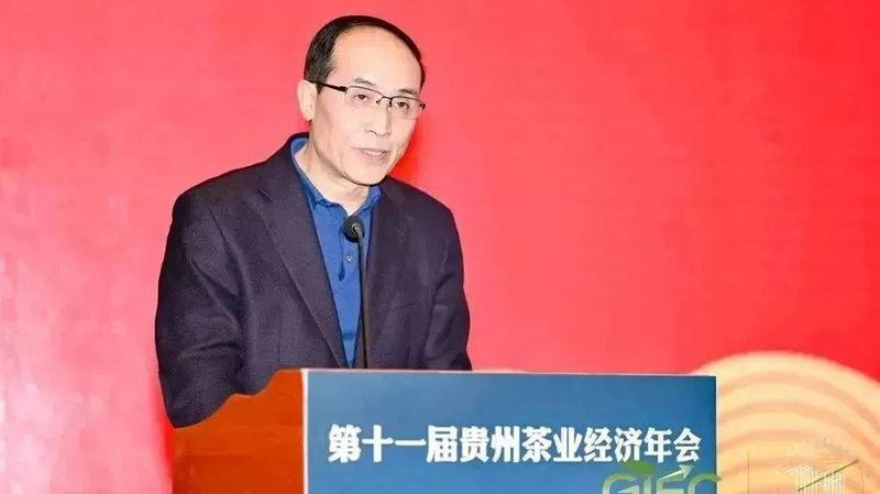 有关于贵州茶产值突破600亿元,开启中国茶业的贵州时代的新闻(2)