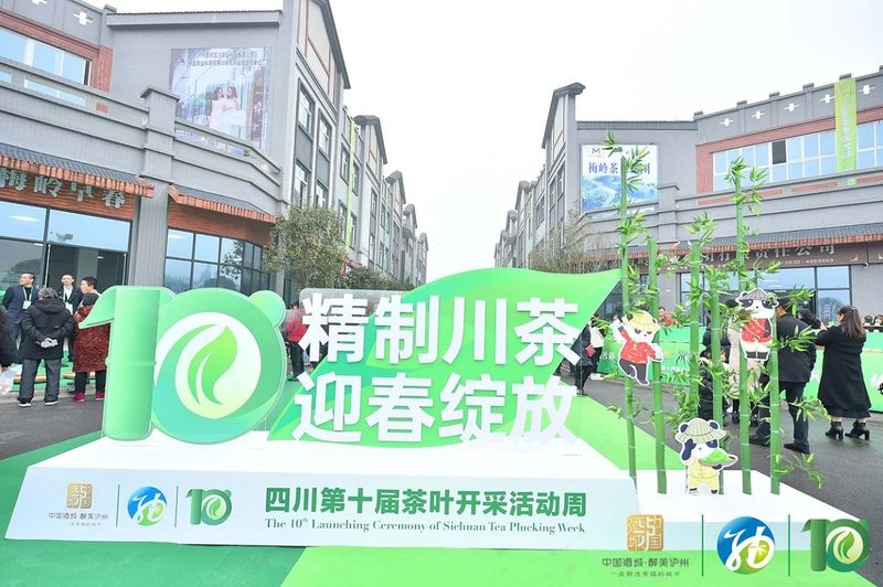 有关于四川第十届茶叶开采活动在纳溪区启动,刘桂才副会长出席并签署战略协议的相关内容(4)