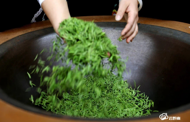 关于聚焦茶非遗！都匀毛尖的“提毫”，究竟是什么？的信息(1)