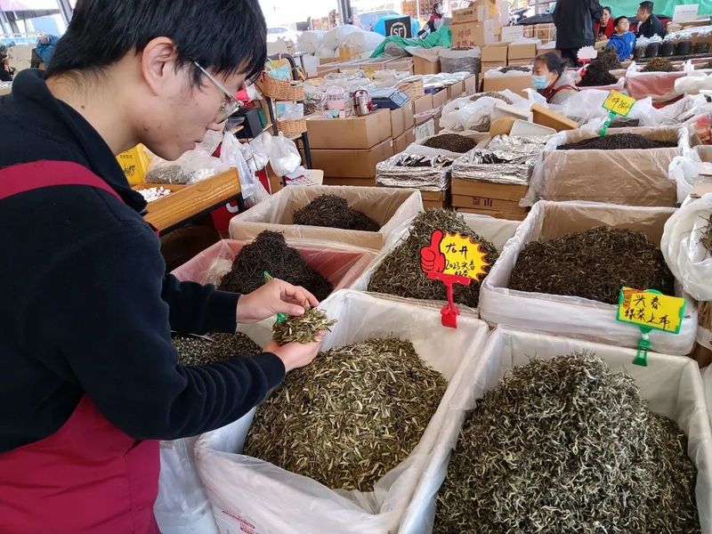 有关于春天来普洱，喝最“鲜”的茶的信息(6)