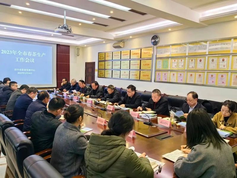 关于汉中市2023年春茶生产工作会议召开的资讯(12)