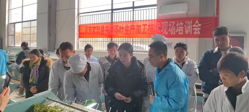 有关于茶叶专班组织专家赴普安县开展早春茶园管护及茶叶加工技术指导工作的消息(3)