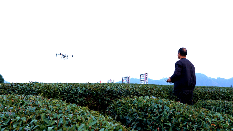 有关于湄潭：机械化赋能茶园管理，促进茶产业高质量发展的最新消息(1)