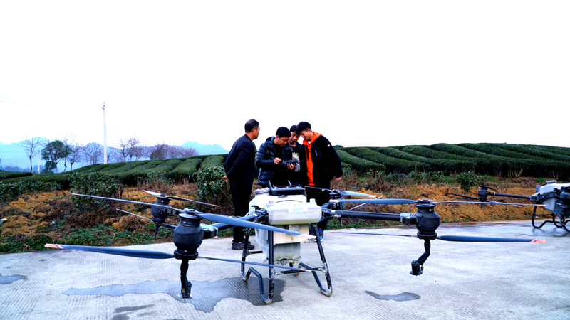 有关于湄潭：机械化赋能茶园管理，促进茶产业高质量发展的最新消息(2)