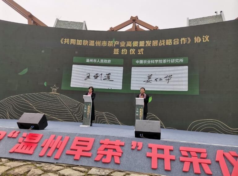 有关于中茶所建立温州茶产业研究院助推温州茶产业高质量发展的最新消息