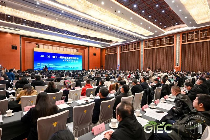 有关于看见中国茶力量！这场盛会解答乡村振兴发展中茶业的使命担当的新闻