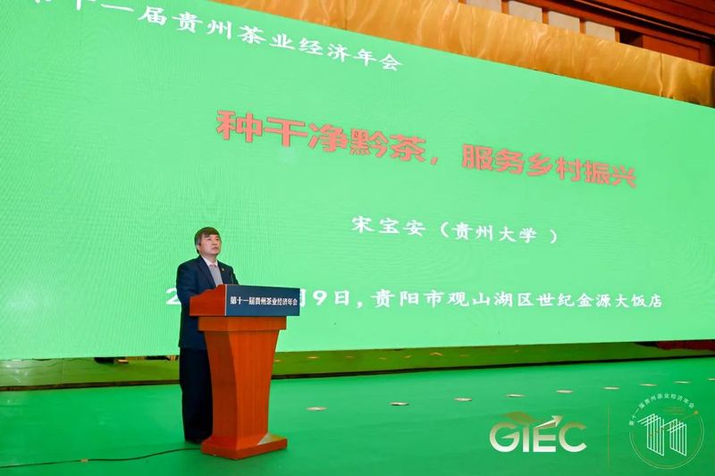 有关于看见中国茶力量！这场盛会解答乡村振兴发展中茶业的使命担当的新闻(2)