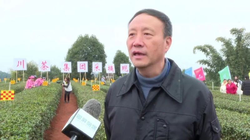 有关于川茶集团的新闻(3)