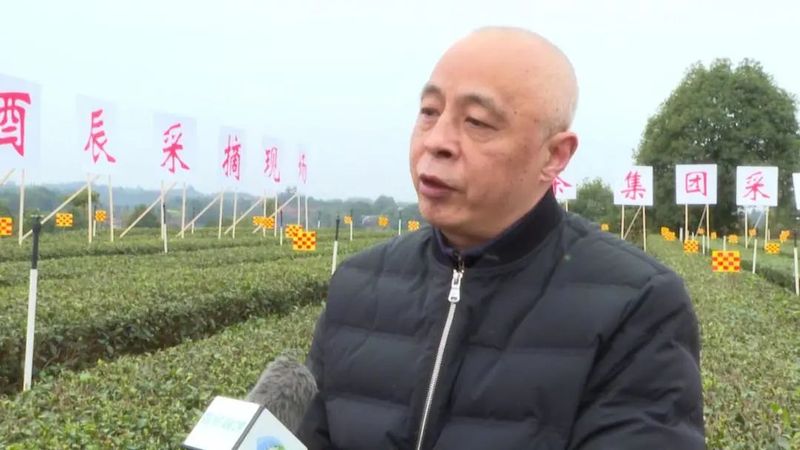 有关于川茶集团的新闻(9)