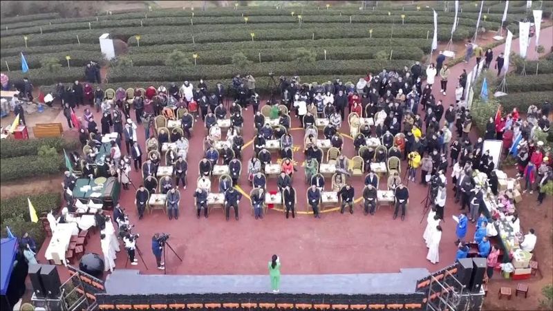 有关于川茶集团的新闻(1)