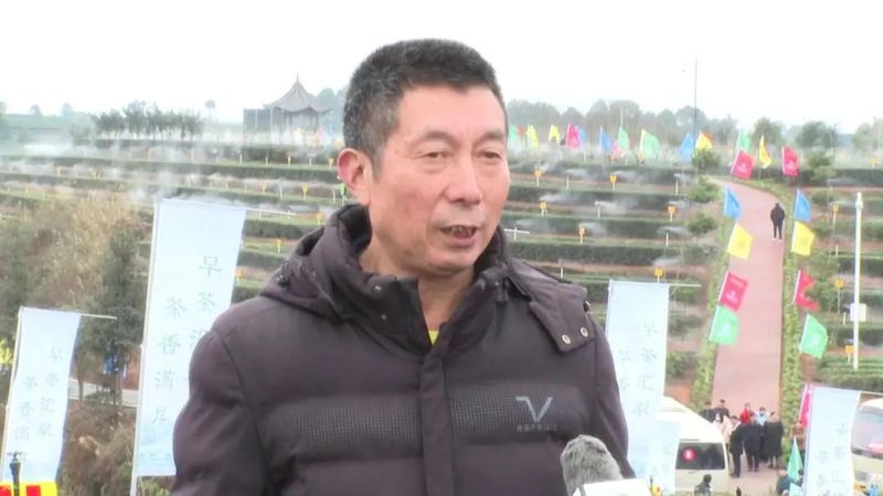 有关于川茶集团的新闻(8)