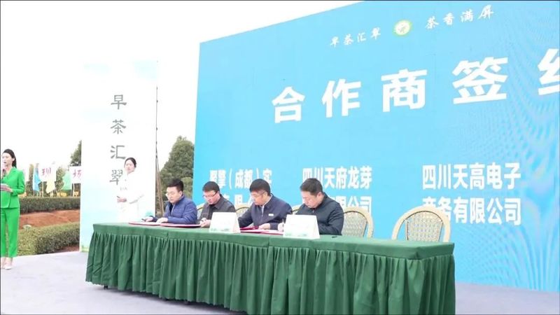 有关于川茶集团的新闻(2)