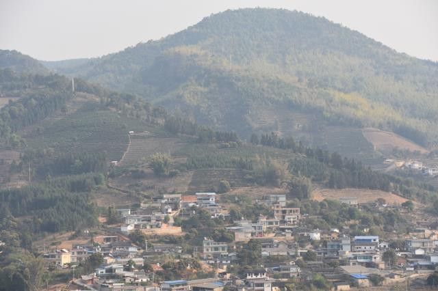 有关于勐库东半山普洱茶口感，2023年东半山古树春茶价格的新闻