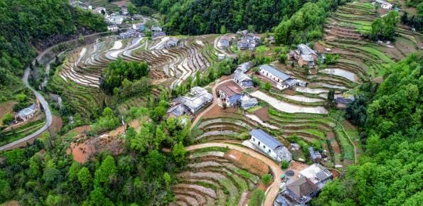 有关于镇巴：深耕茶园 共赴一场茶旅融合好春景的最新消息(1)