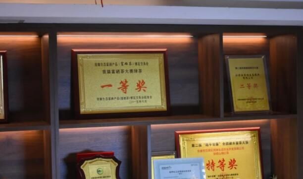 有关于茶农眼中的“强链延链补链”的内容(3)