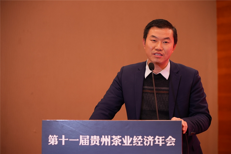 有关于思Xiang会：黔茶公用品牌如何突围？的消息(13)