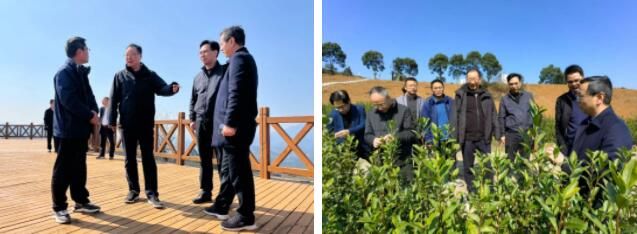 关于宁波市政协来宁海县调研茶产业高质量发展情况的消息(2)