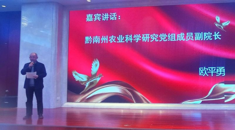 有关于高质量发展茶产业 助力黔南乡村振兴  2022年黔南州茶叶协会年会在都匀召开的相关内容(8)