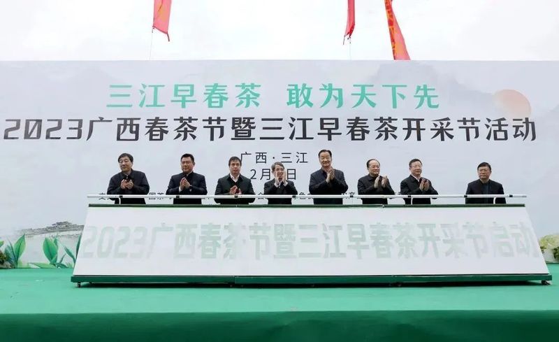 关于2023广西春茶节暨三江早春茶开采节启动的最新消息(3)