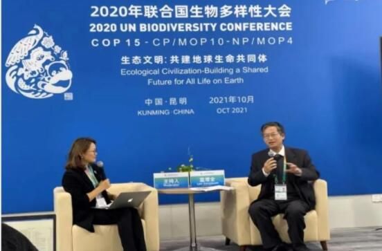 有关于云南古茶树保护条例实施在即，5月21日将开启第一个“古茶树保护宣传日”的消息(4)