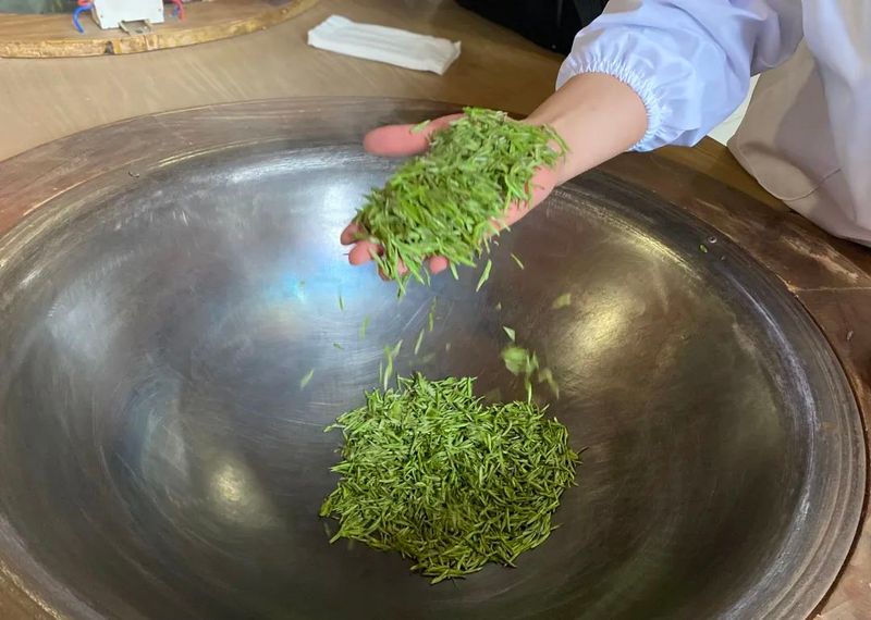 关于夹江新场镇30万亩茶园陆续开采！的消息(4)