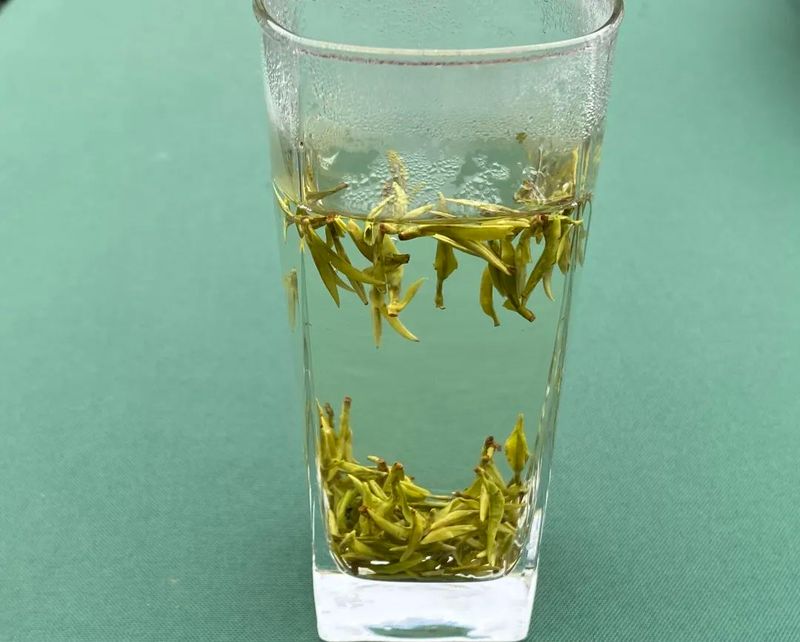 关于夹江新场镇30万亩茶园陆续开采！的消息(5)