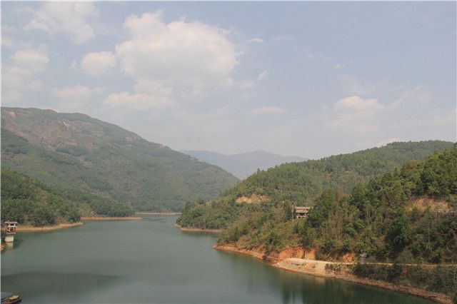 有关于冰岛茶春茶口感，2023年冰岛古树春茶价格多少钱的相关内容(1)