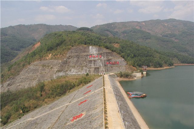 有关于冰岛茶春茶口感，2023年冰岛古树春茶价格多少钱的相关内容