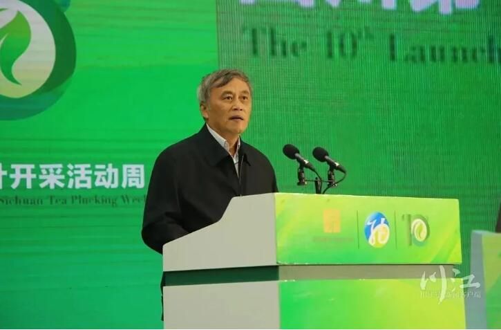 关于多个茶产业项目现场签约！四川第十届茶叶开采活动周在纳溪启动的相关内容(1)