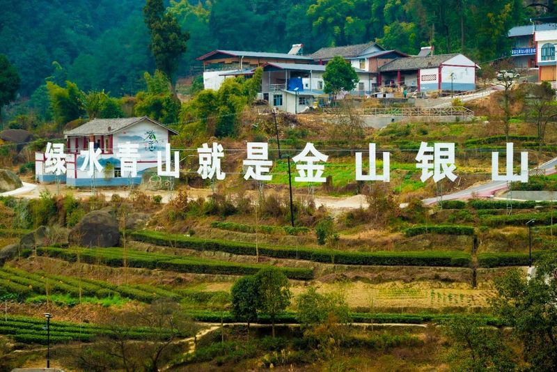 关于四川省茶叶行业协会携手湖南茶频道探访兔年春茶抢“鲜”的内容(1)