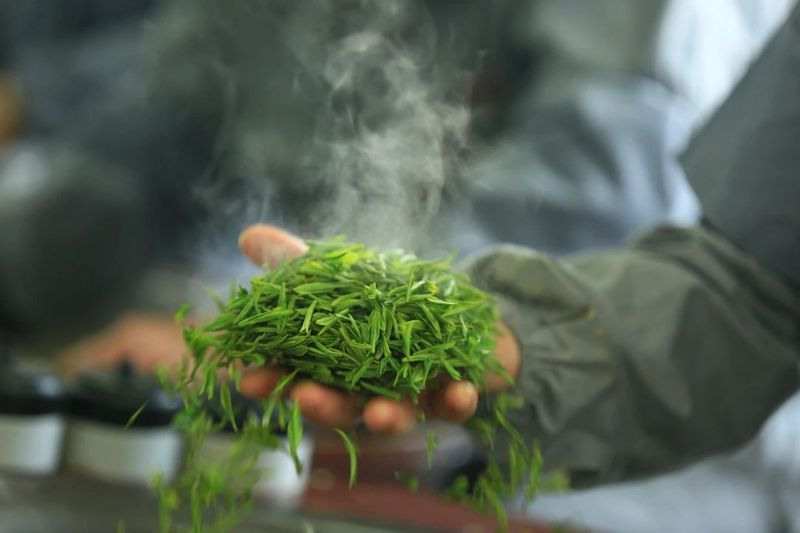 关于2023西湖龙井茶快报，浙江省第一批地理标志富农最佳实践案例公布，西湖龙井茶入选！的消息(1)