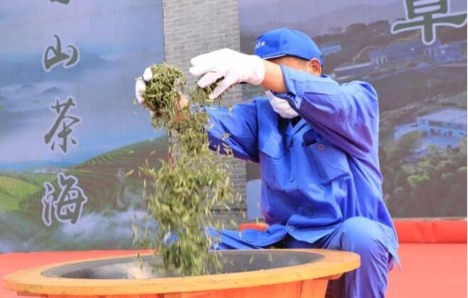 有关于宜宾高县：蜀山茶海优质早茶开采的最新消息(5)