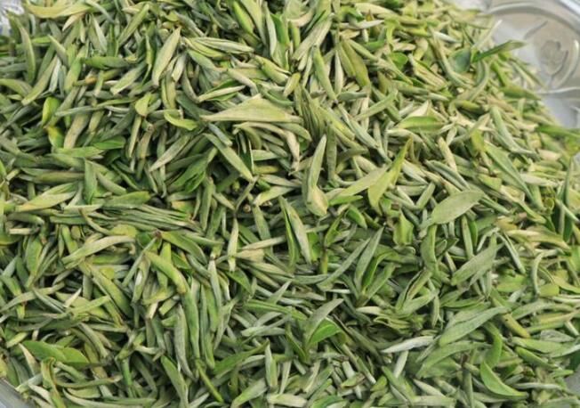 有关于宜宾高县：蜀山茶海优质早茶开采的最新消息(2)