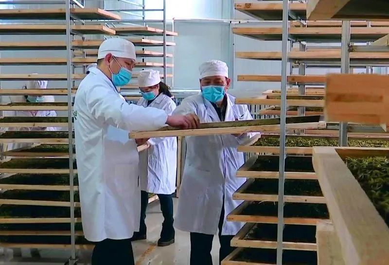 有关于新起点 回望贵州茶，新征程 寄望贵州茶——胡继承在第十一届贵州茶业经济年会上的演讲的信息(14)