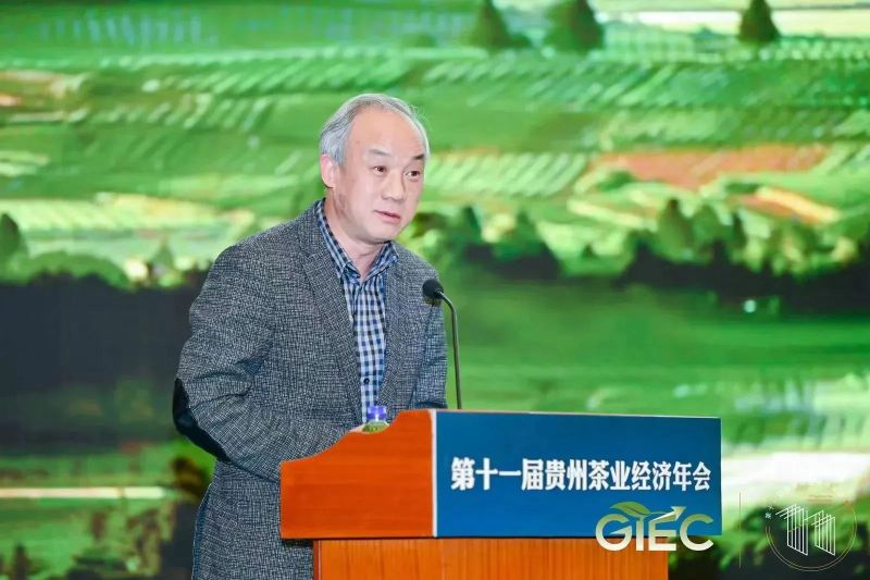 有关于新起点 回望贵州茶，新征程 寄望贵州茶——胡继承在第十一届贵州茶业经济年会上的演讲的信息(2)