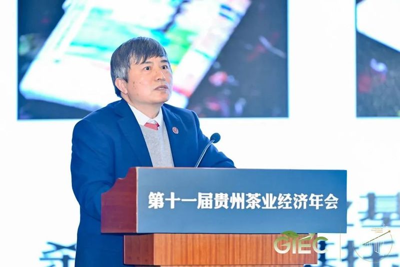 有关于新起点 回望贵州茶，新征程 寄望贵州茶——胡继承在第十一届贵州茶业经济年会上的演讲的信息(10)