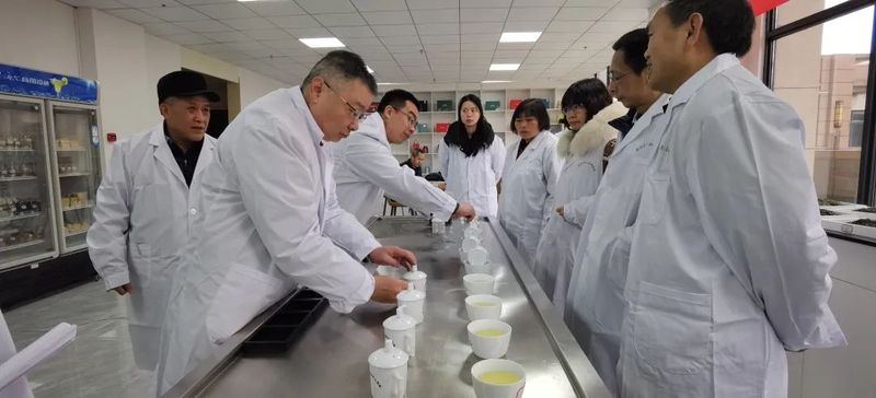 关于都匀毛尖茶实物标准样通过省级专家审评的相关信息(2)