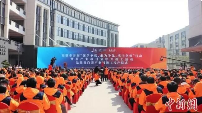 有关于福建福鼎：统筹“三茶”发展 促进白茶产业高质量发展的最新消息(1)