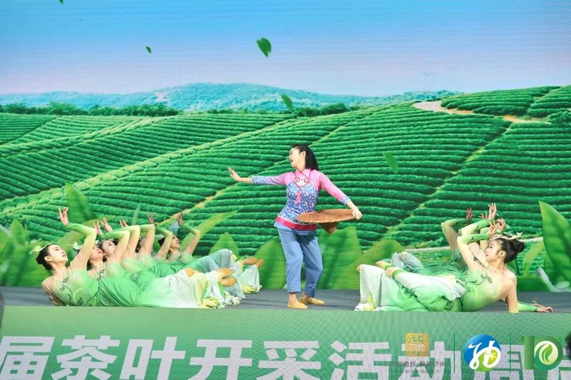 关于喝纳溪早茶咯！四川第十届茶叶开采活动周启动的新闻(3)