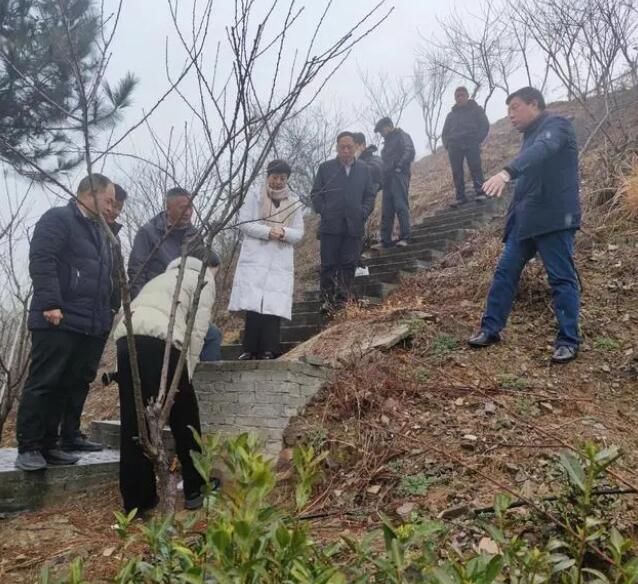 有关于商洛：赋予茶产业数字化，助推乡村振兴的消息