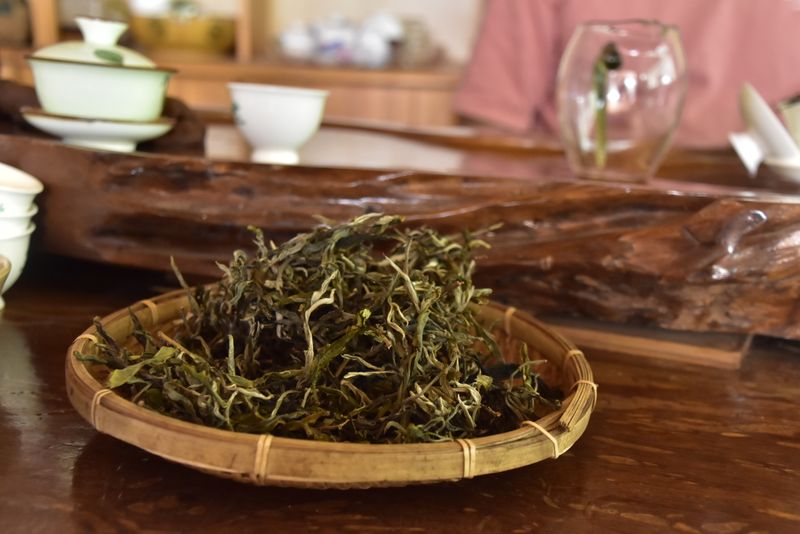 关于2023年景迈大寨古树茶价格的新闻(2)