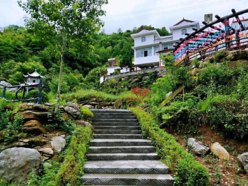 有关于铜钱镇：茶园管护忙 静待茶飘香的资讯(5)