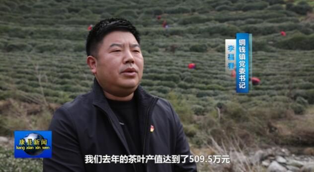 有关于铜钱镇：茶园管护忙 静待茶飘香的资讯(3)