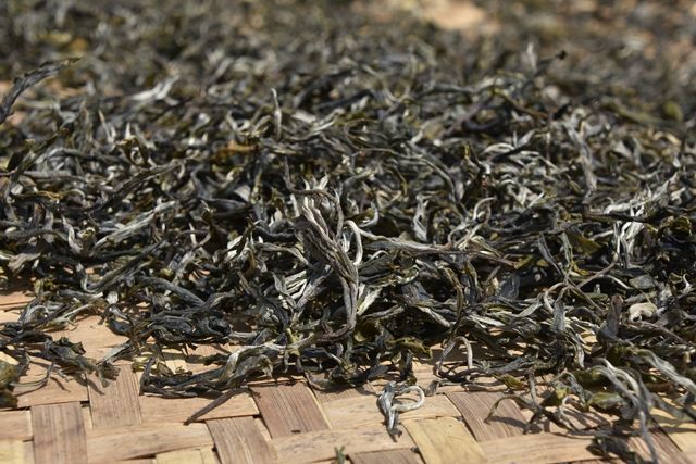 有关于娜罕古树春茶多少钱2023的消息(2)