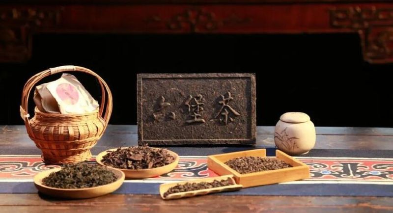 有关于广西梧州大力推进六堡茶产业发展的内容(1)