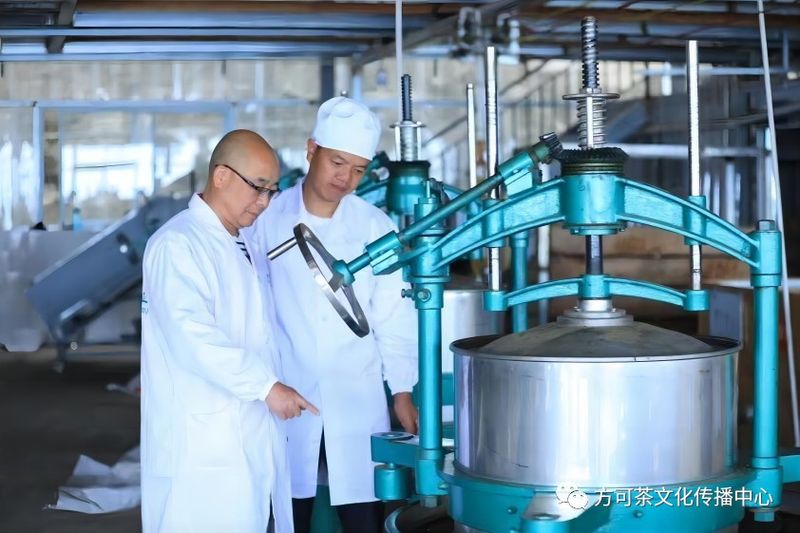 关于茶艺、评茶、制茶和普洱茶鉴评师招生通知!的信息(3)
