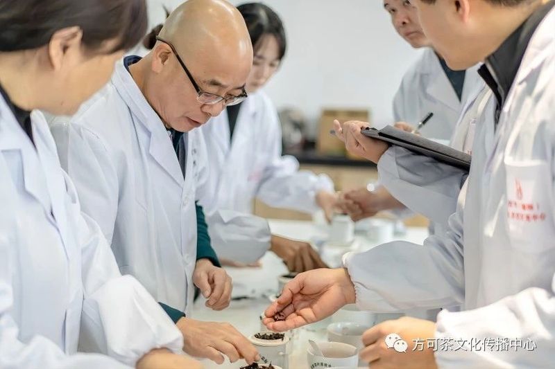 关于茶艺、评茶、制茶和普洱茶鉴评师招生通知!的信息(2)