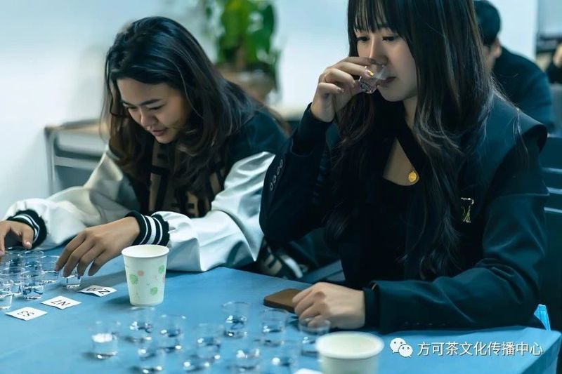 关于茶艺、评茶、制茶和普洱茶鉴评师招生通知!的信息(4)