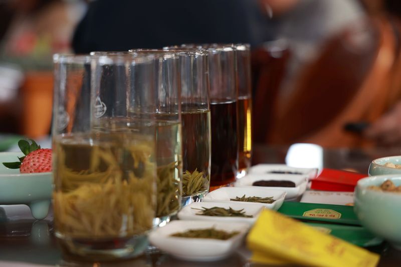 有关于“红色旺苍·中国茶乡”春茶品鉴推介活动在杭州举行的相关内容(24)