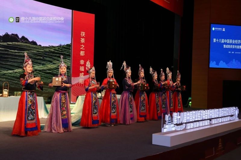 关于福鼎市荣获“2022年度茶业品牌建设县域”称号的信息(10)